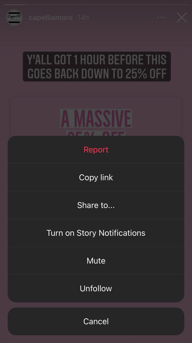 screenshot showing menu options for instagram story