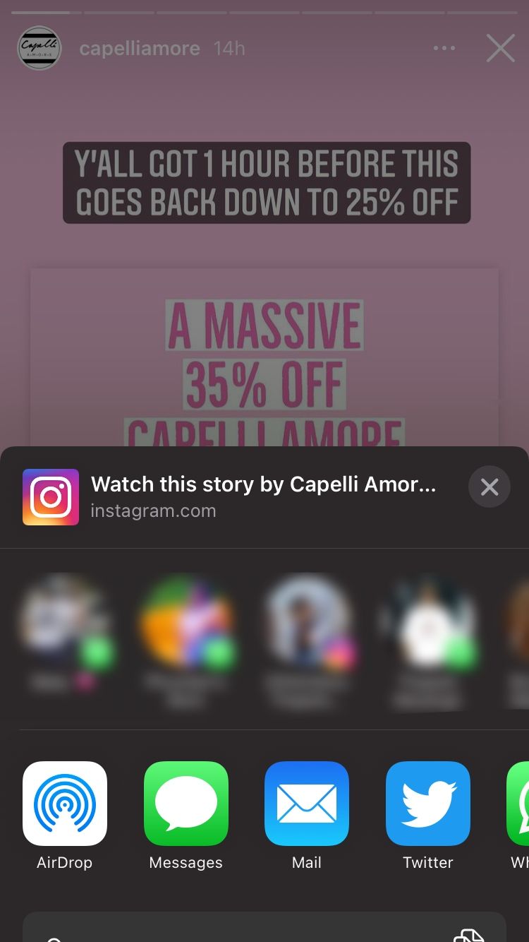 screenshot showing options for sharing instagram story