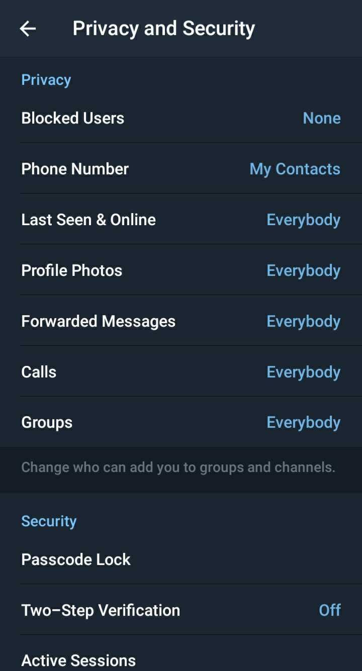 telegram privacy and security settings screenshot