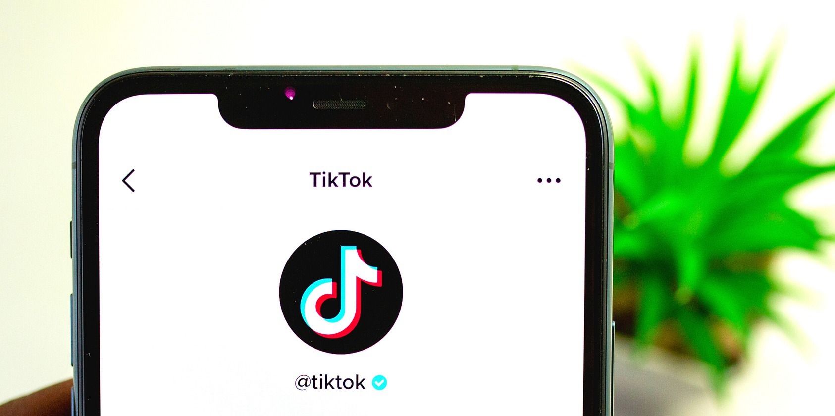 TikTok held in hand feature image