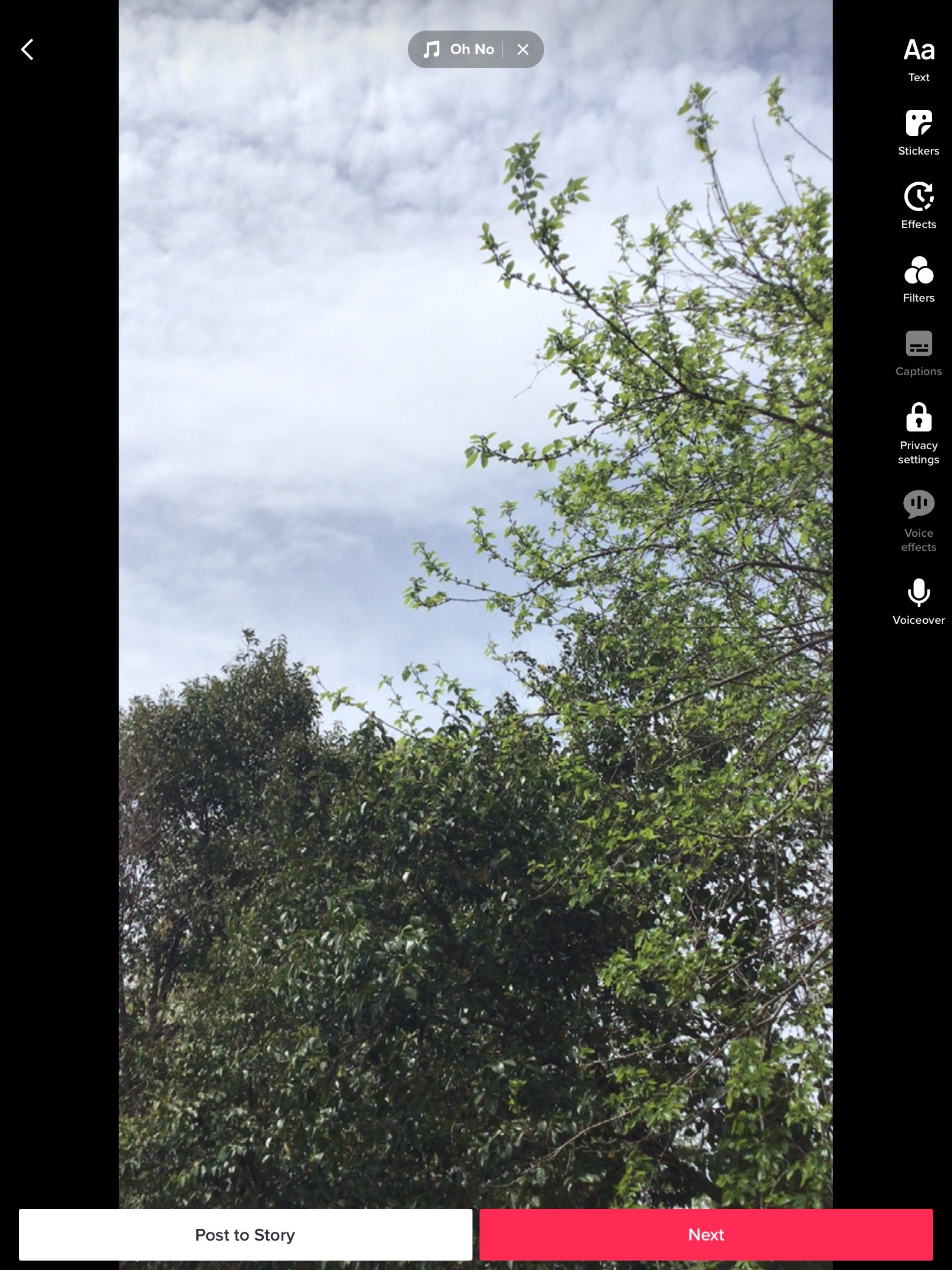 TikTok editing screen with a photo of trees