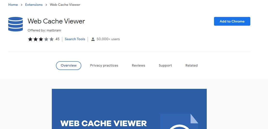 web cache viewer screenshot