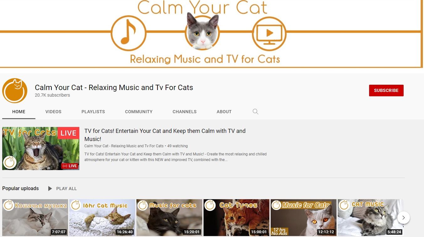 Calm Your Cat - Relaxing Music and Tv For Cats