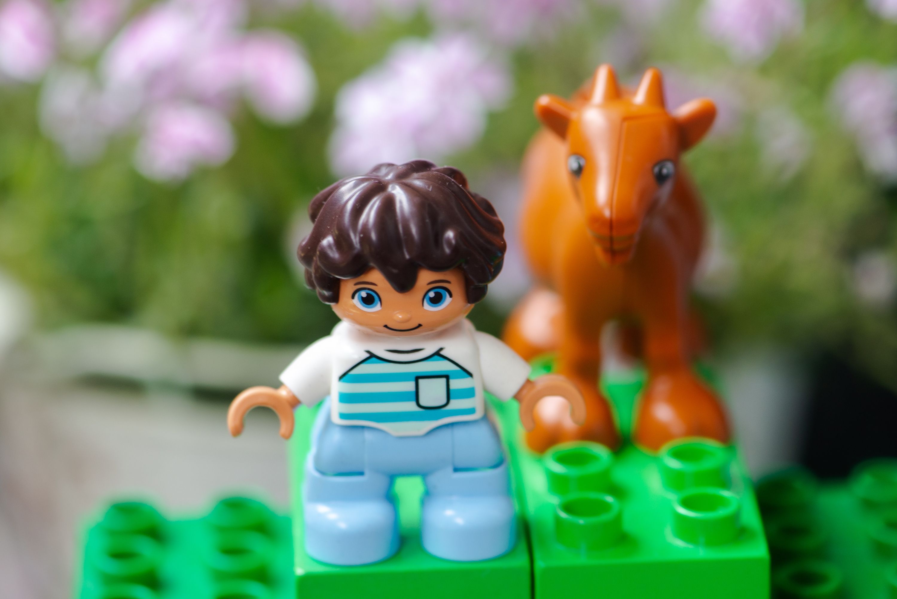 Lego Duplo child mini figure with a goat with flowers in the background