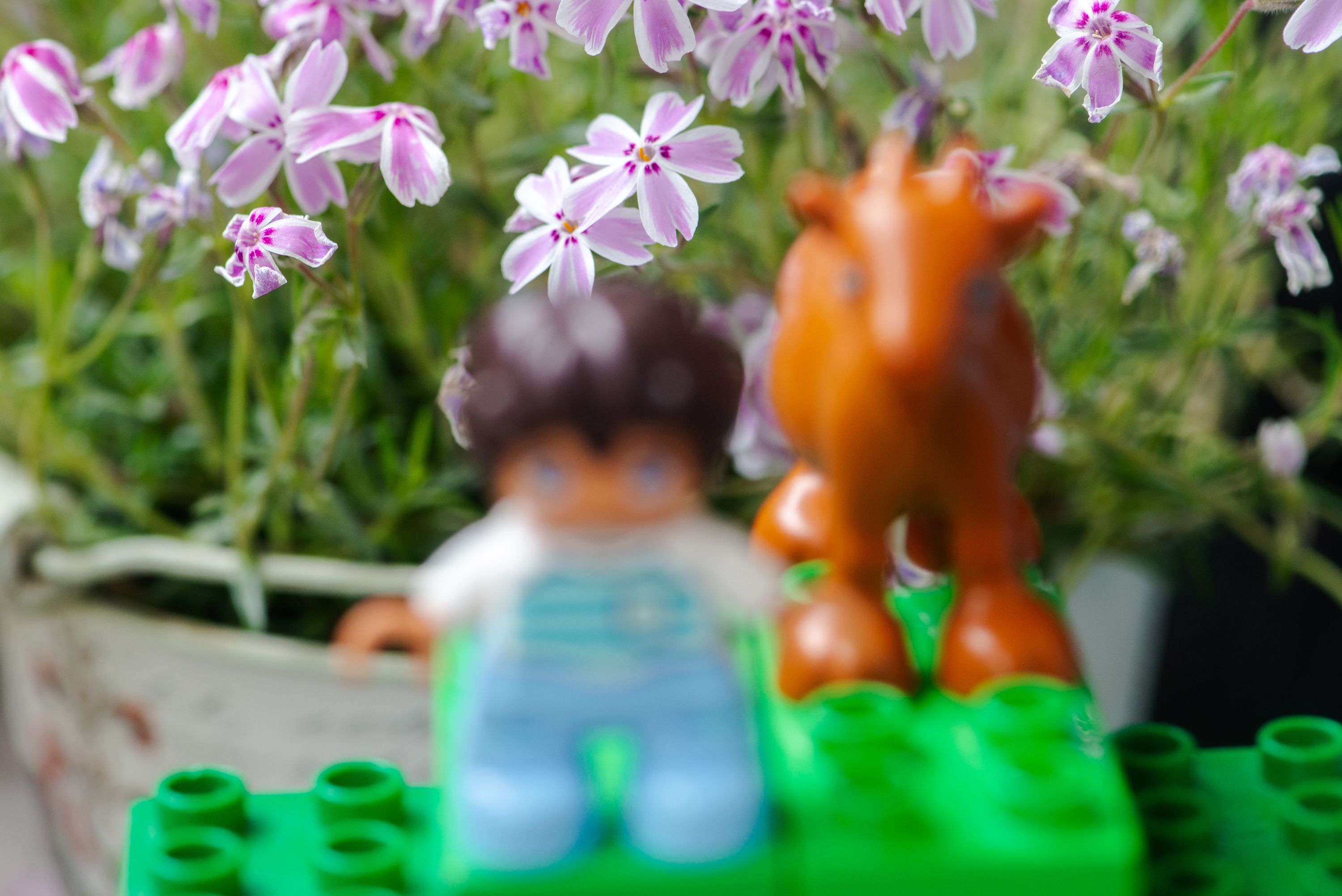 Lego Duplo child mini figure with a goat with flowers in the background - Out of focus image