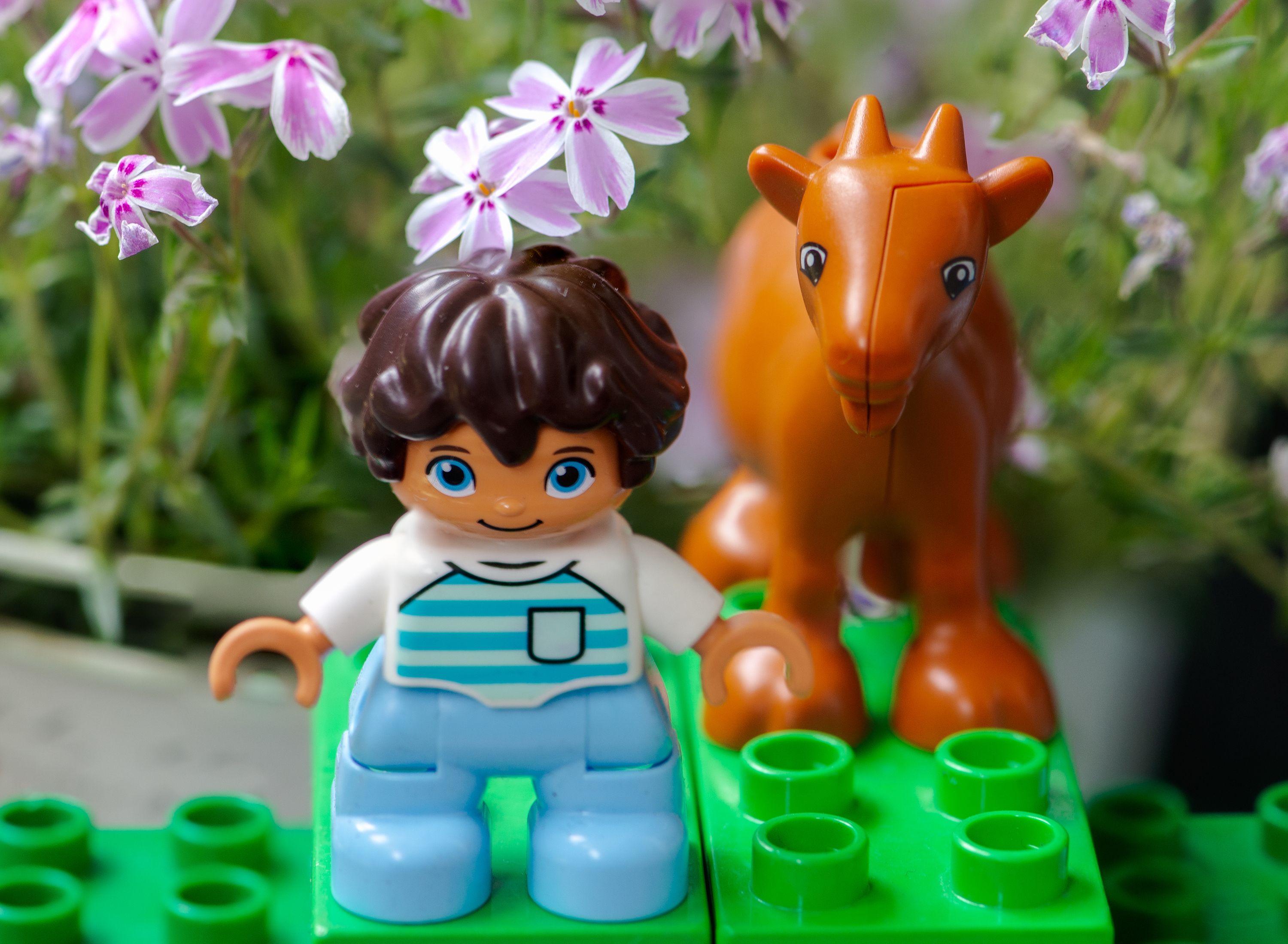 Lego Duplo child and goat mini figure in a floral background