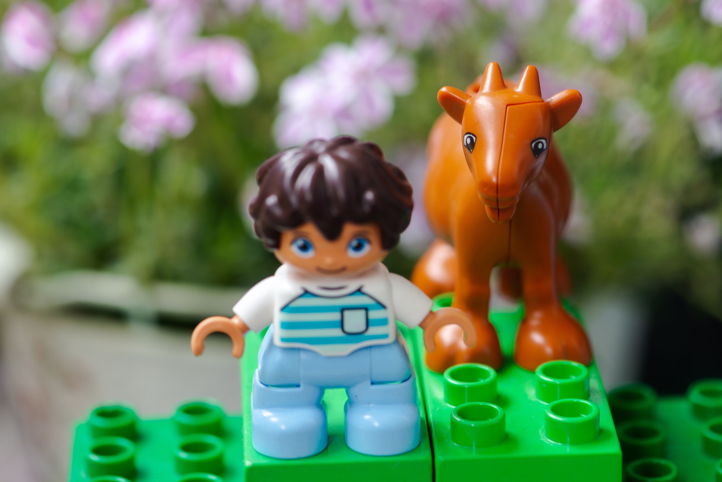 Lego Duplo goat mini figure with a child with flowers in the background