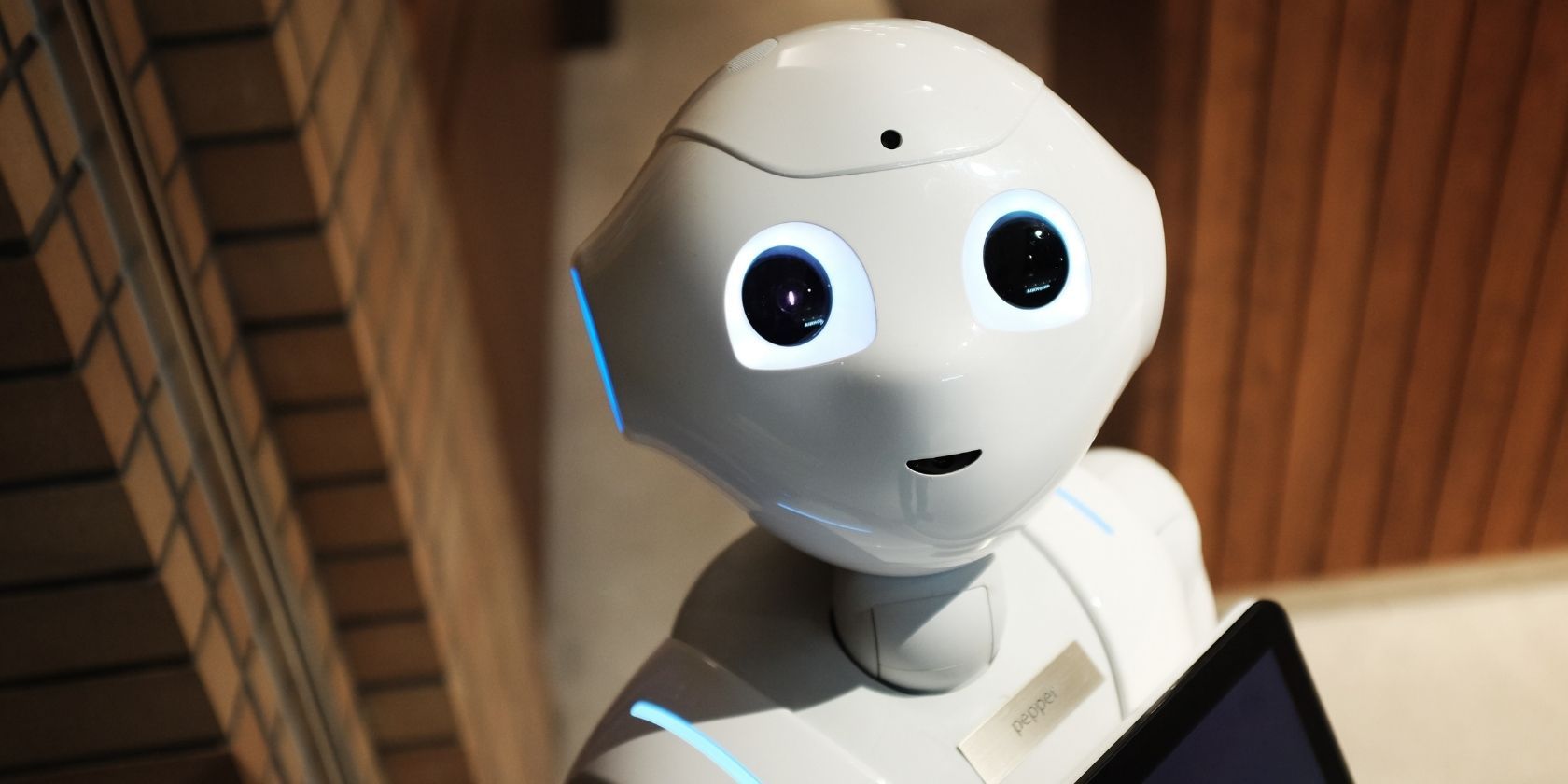 Does a Smart Home Need a Smart Robot?