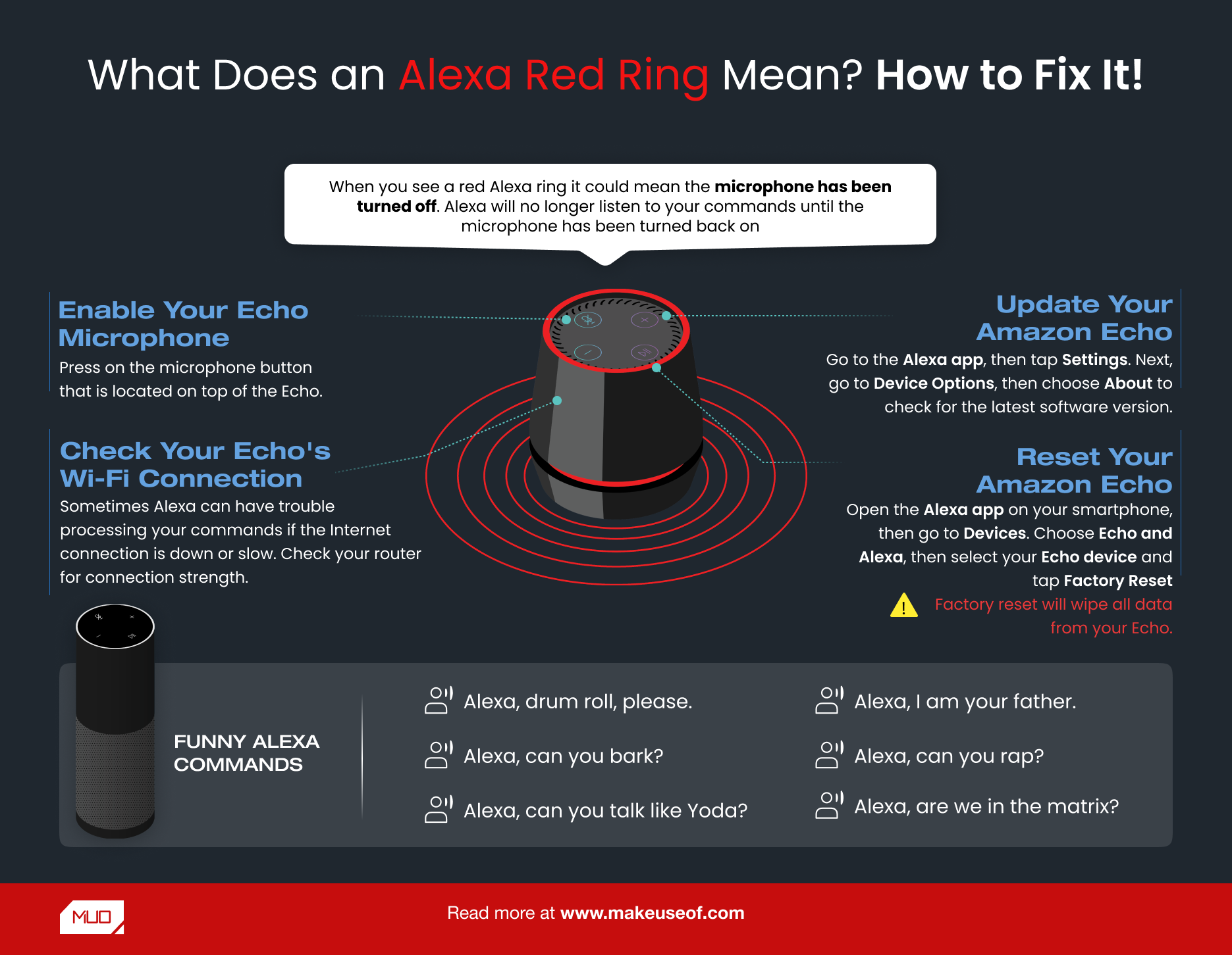 Infographic on What an Alexa Red Ring Means and How to Fix It