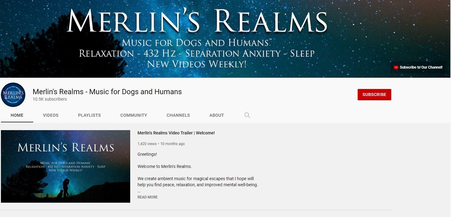 Merlin's Realms - Music for Dogs and Humans