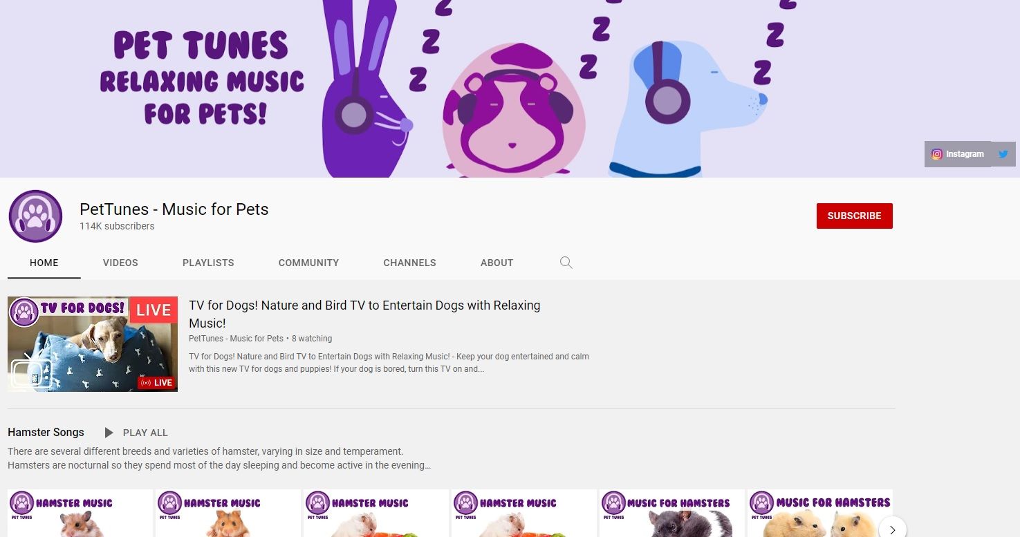 PetTunes - Music for Pets