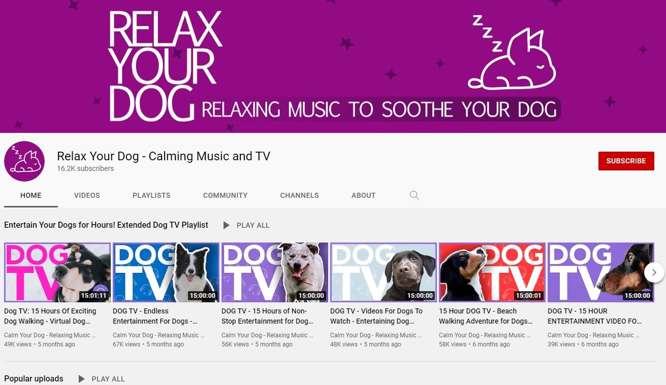 Relax Your Dog - Calming Music and TV
