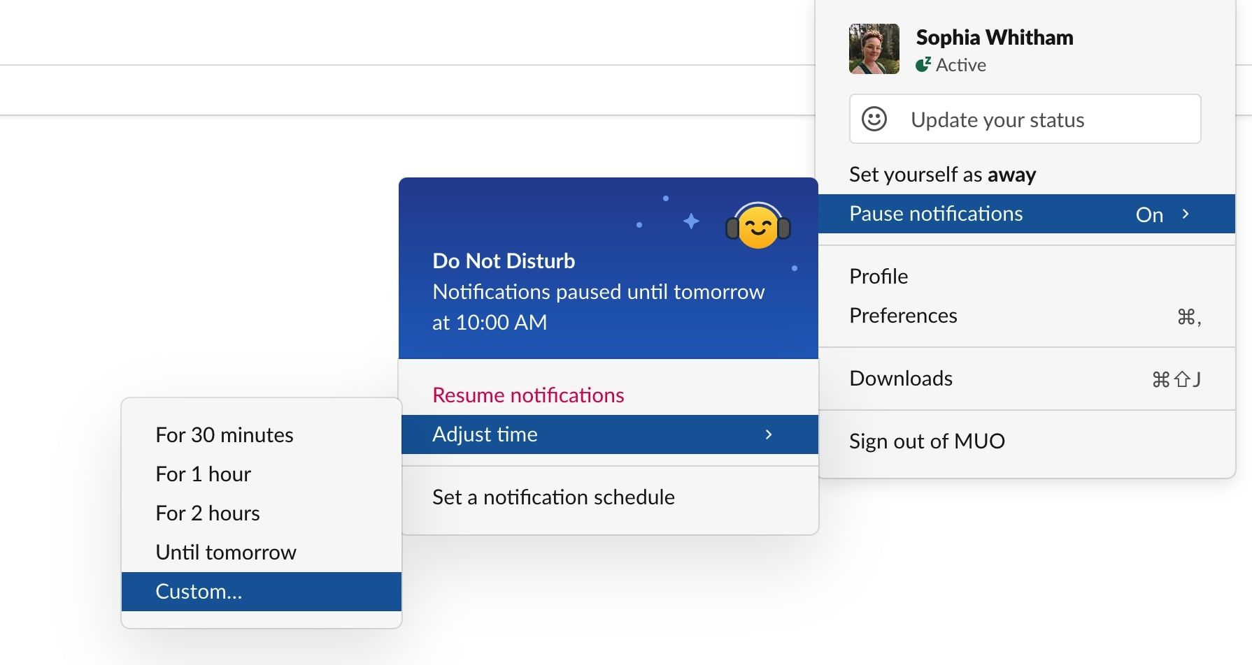 how to pause slack notifications