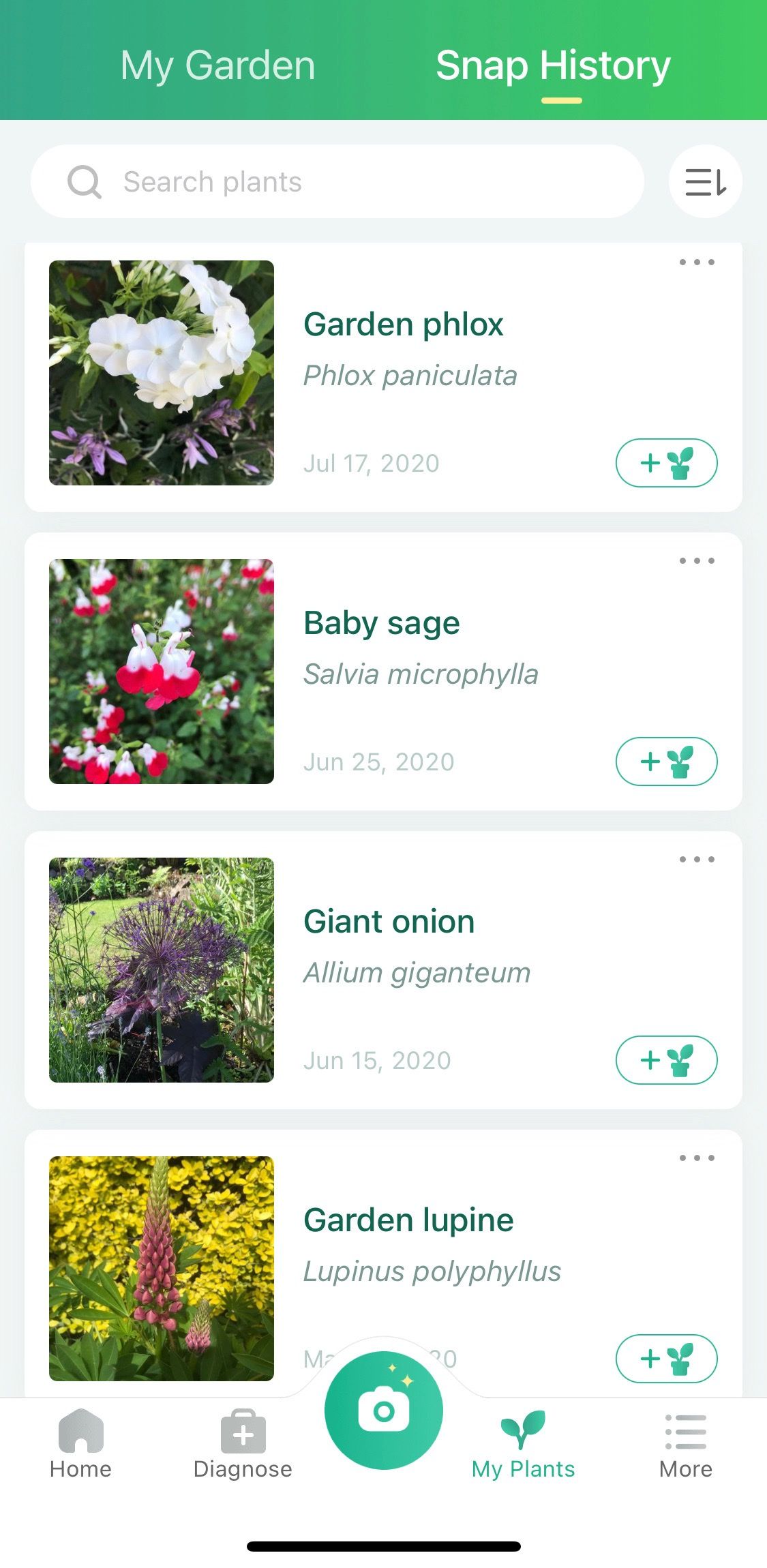 Screenshot of Picture This app showing sample of plants identified 3