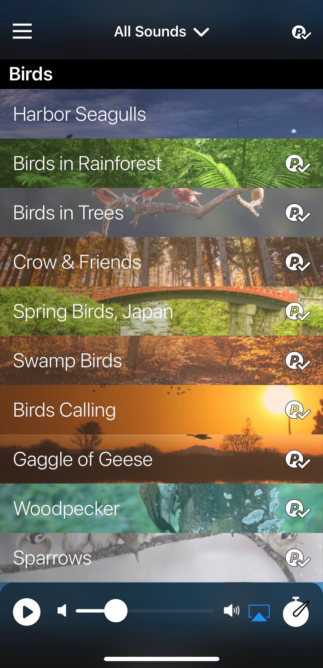 Screenshot of Rain Rain app showing birds options 3