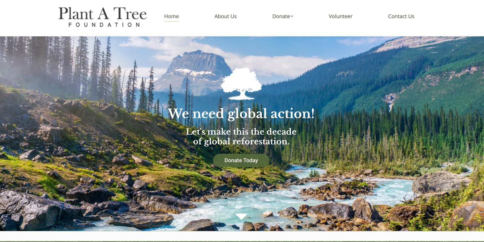 Screenshot showing home page of the Plant a Tree Foundation