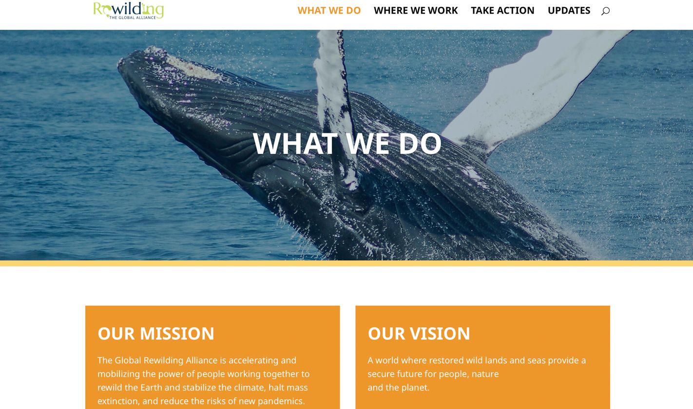Screenshot showing the Home Page of Rewilding global organisation