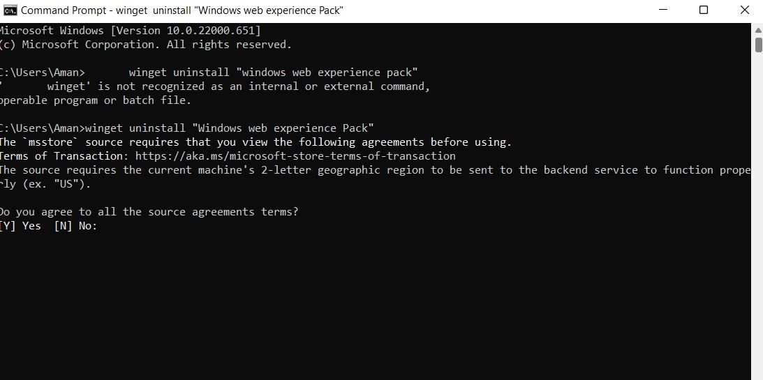 Command Prompt window with commands to uninstall Widgets