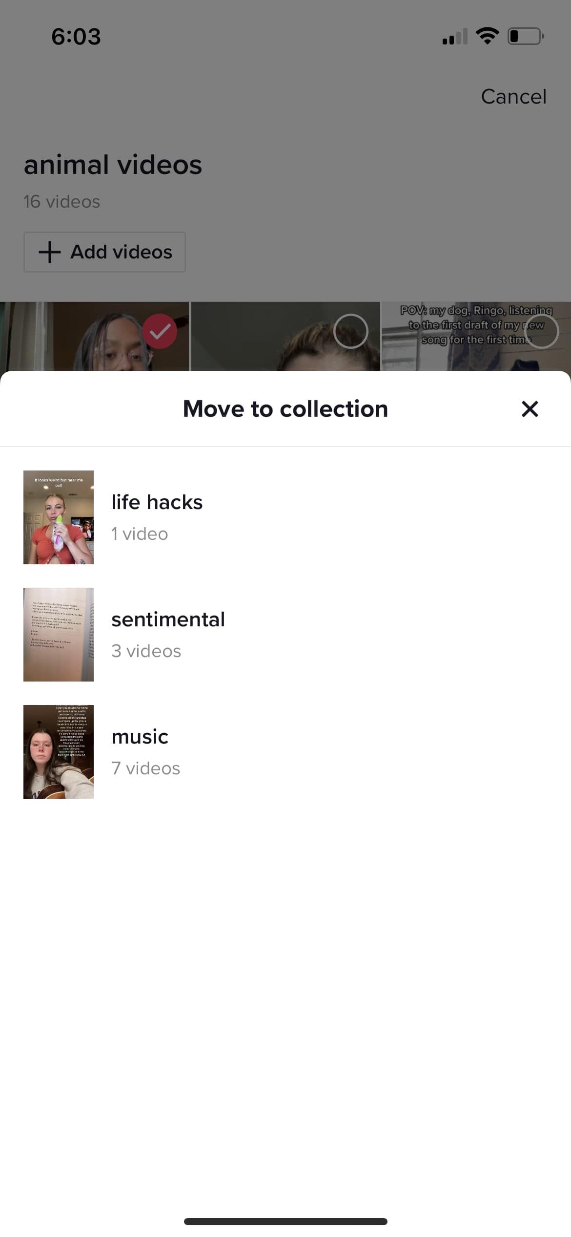 Screenshot of added a video to a different TikTok collection