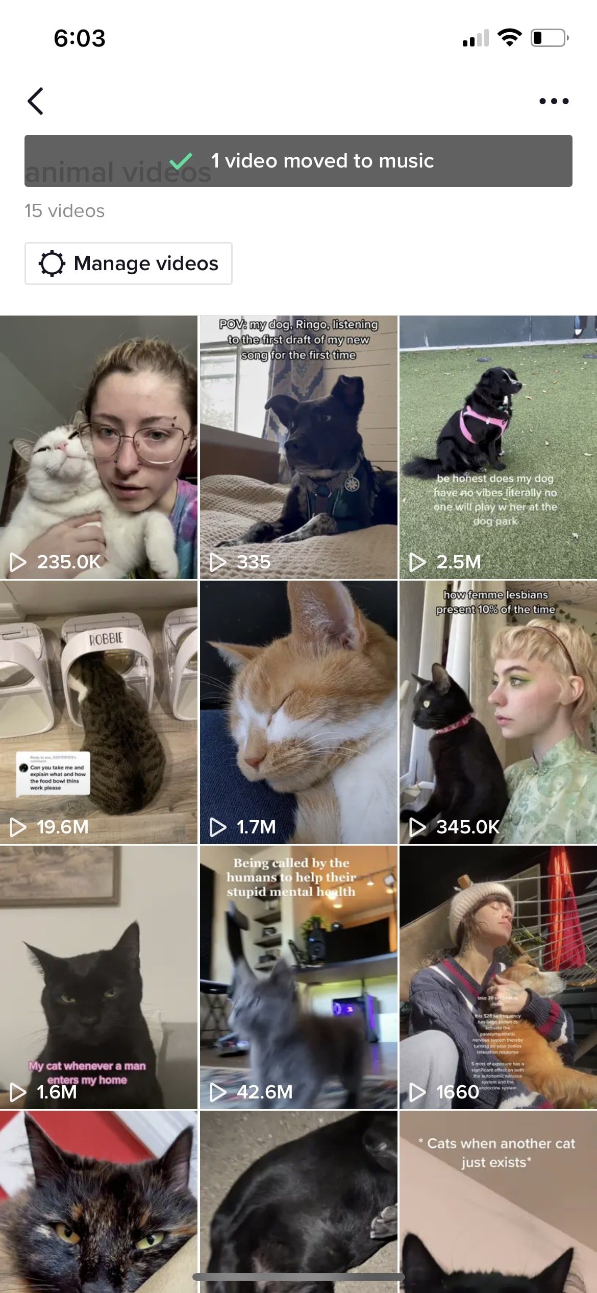 Screenshot after TikTok was successfully moved to different collection