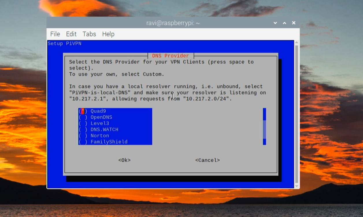choose dns server or add custom dns