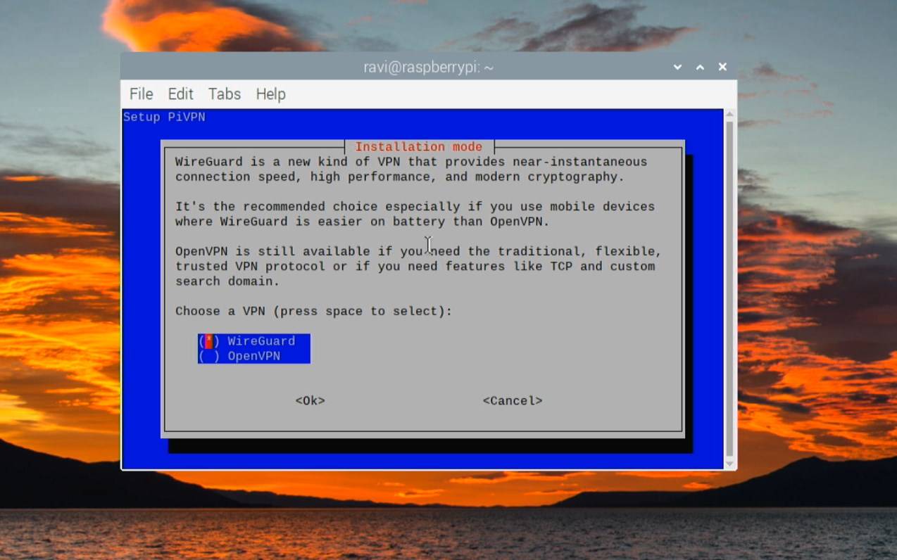 from options choose wireguard for installation