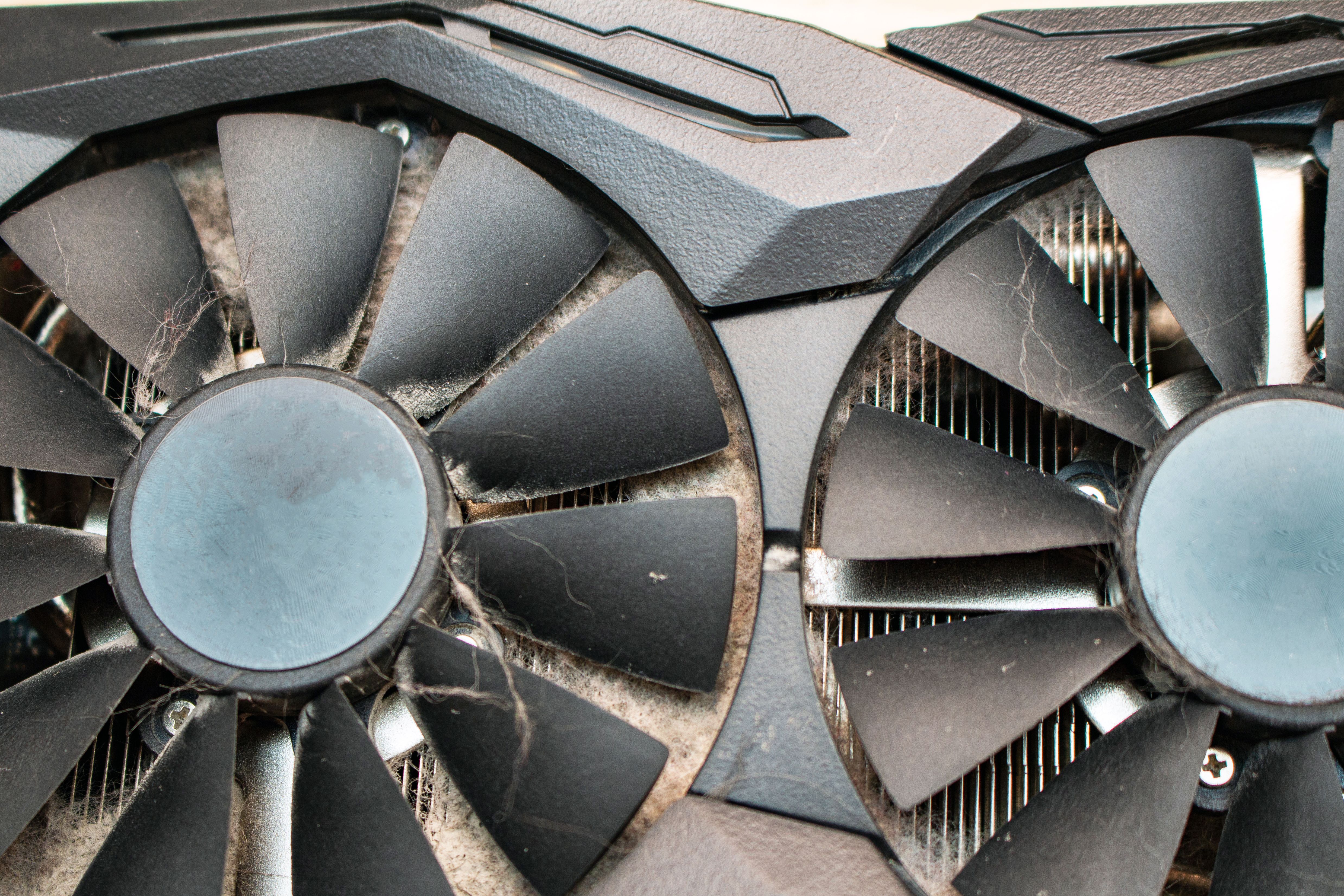 graphics card fans covered in dust