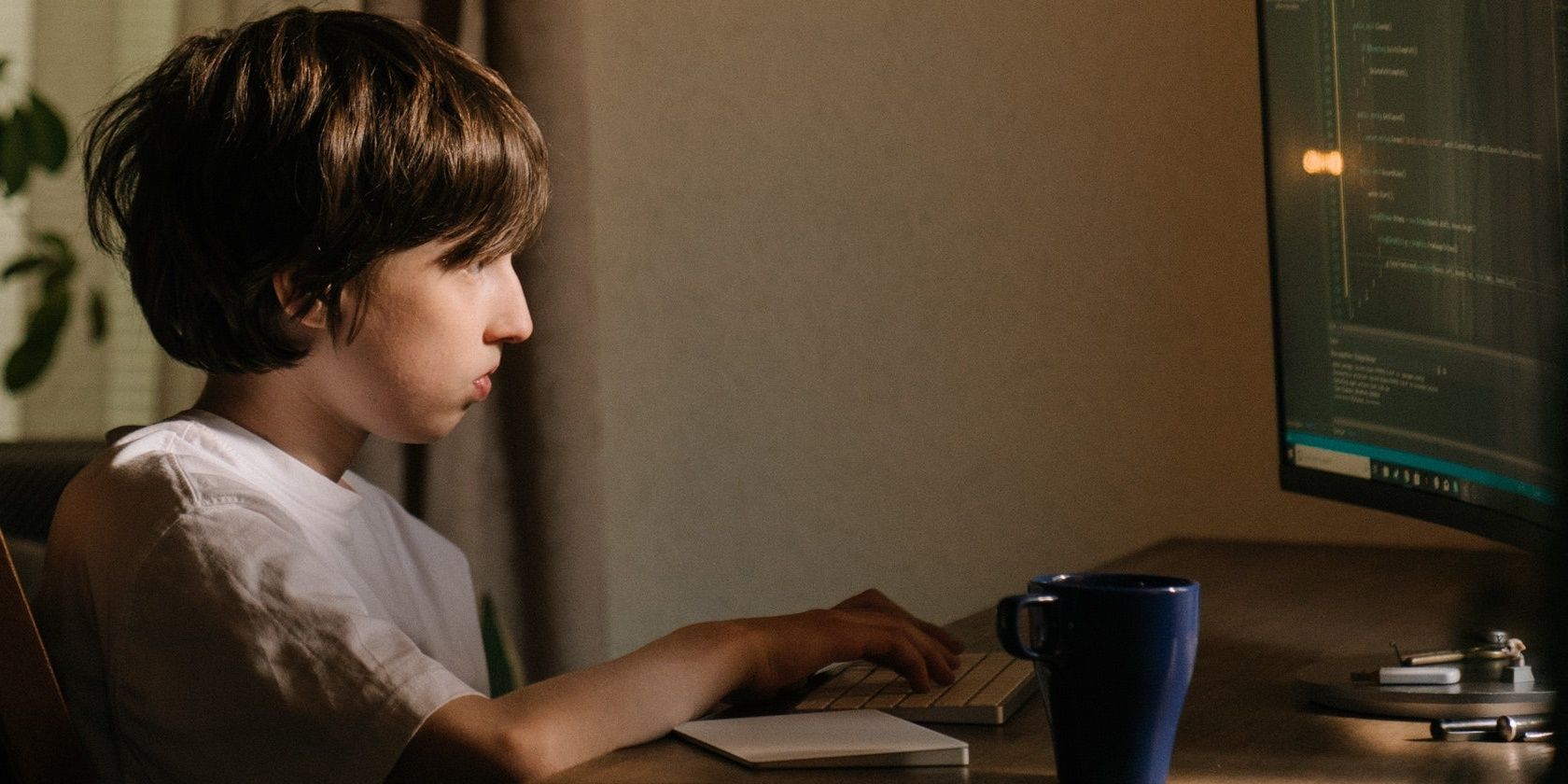 Boy sitting at a desk in front of computer
