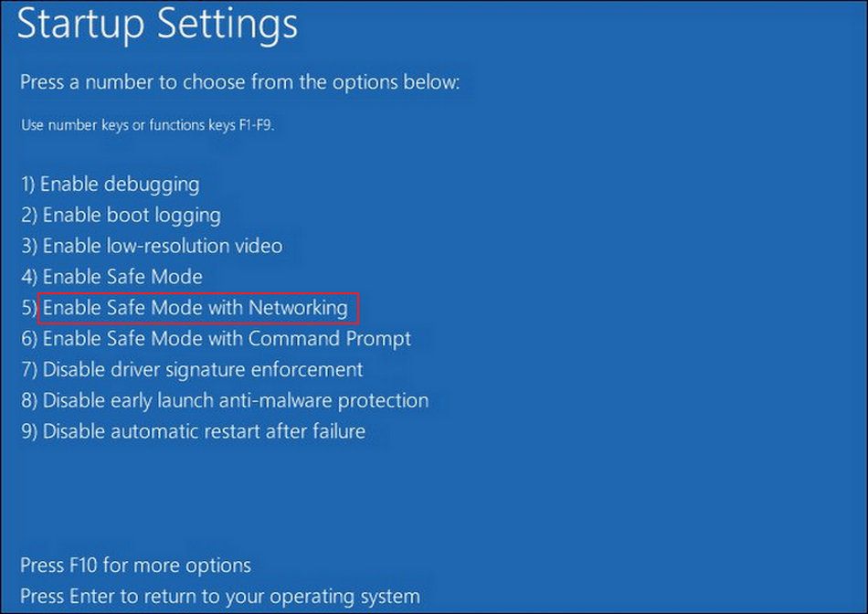 Safe mode with networking option