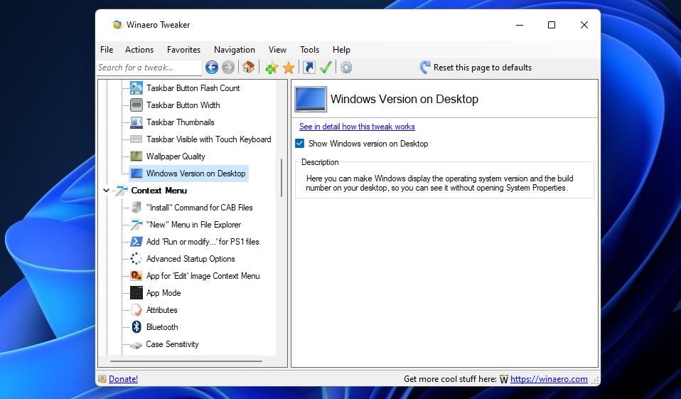 How To Add Windows 11 Build Version Info To Your Desktop