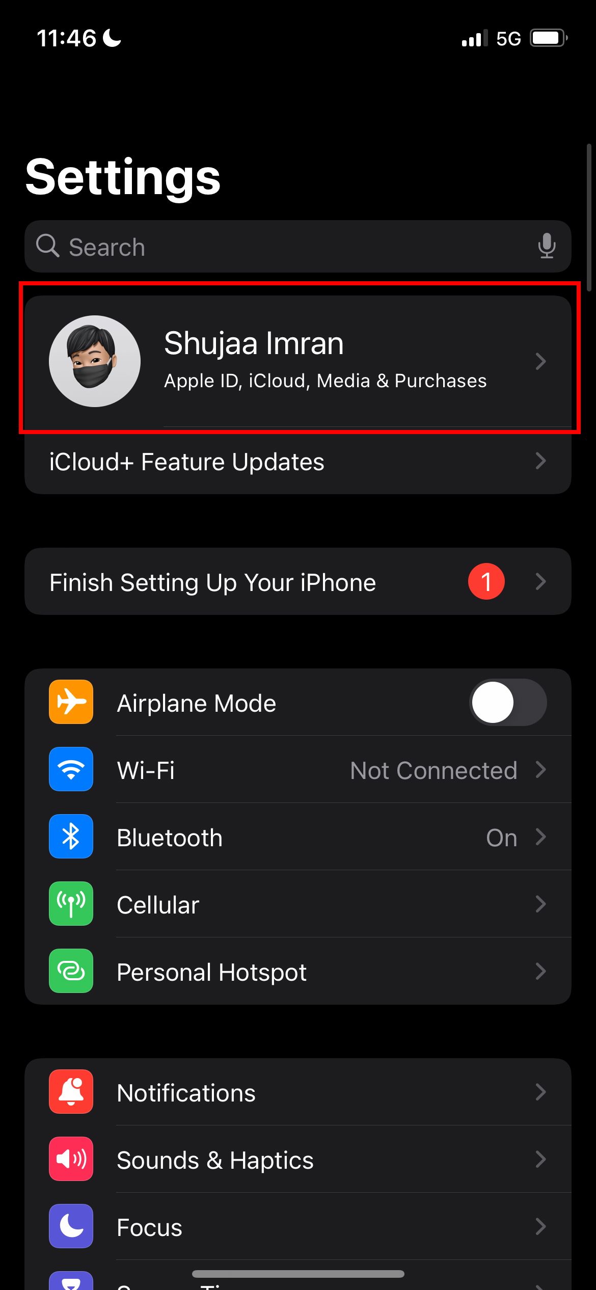 iCloud Settings in Settings app on iPhone