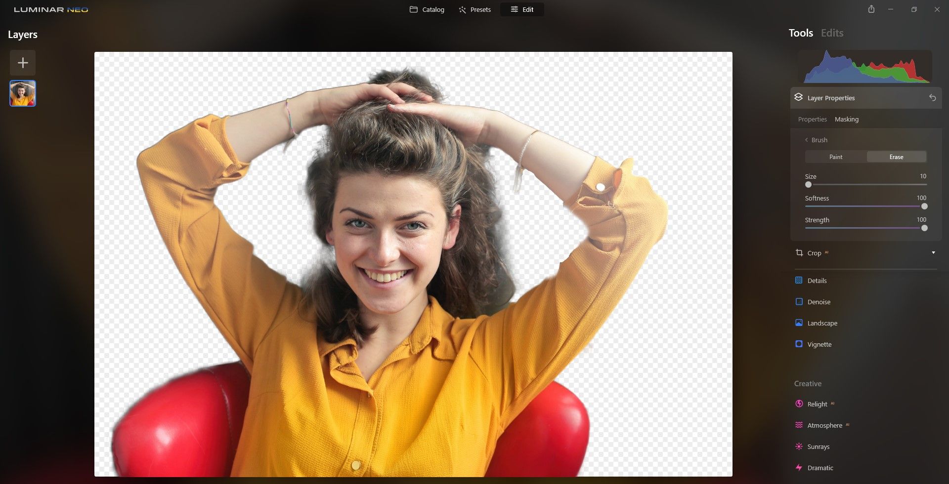 پس از استفاده از ابزار Regular Brush Tool