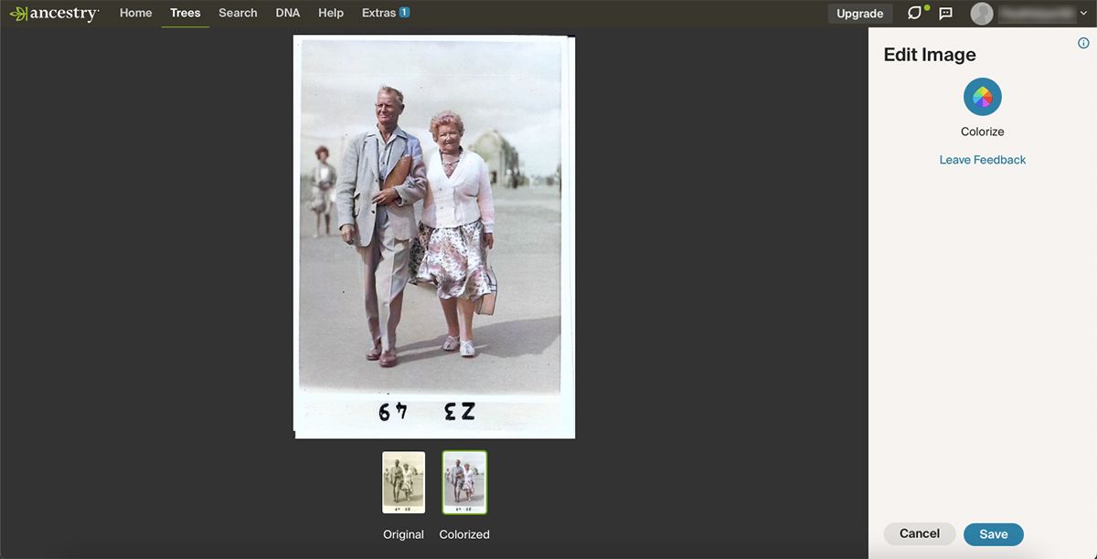 Ancestry website showing colorised photo of a couple walking.