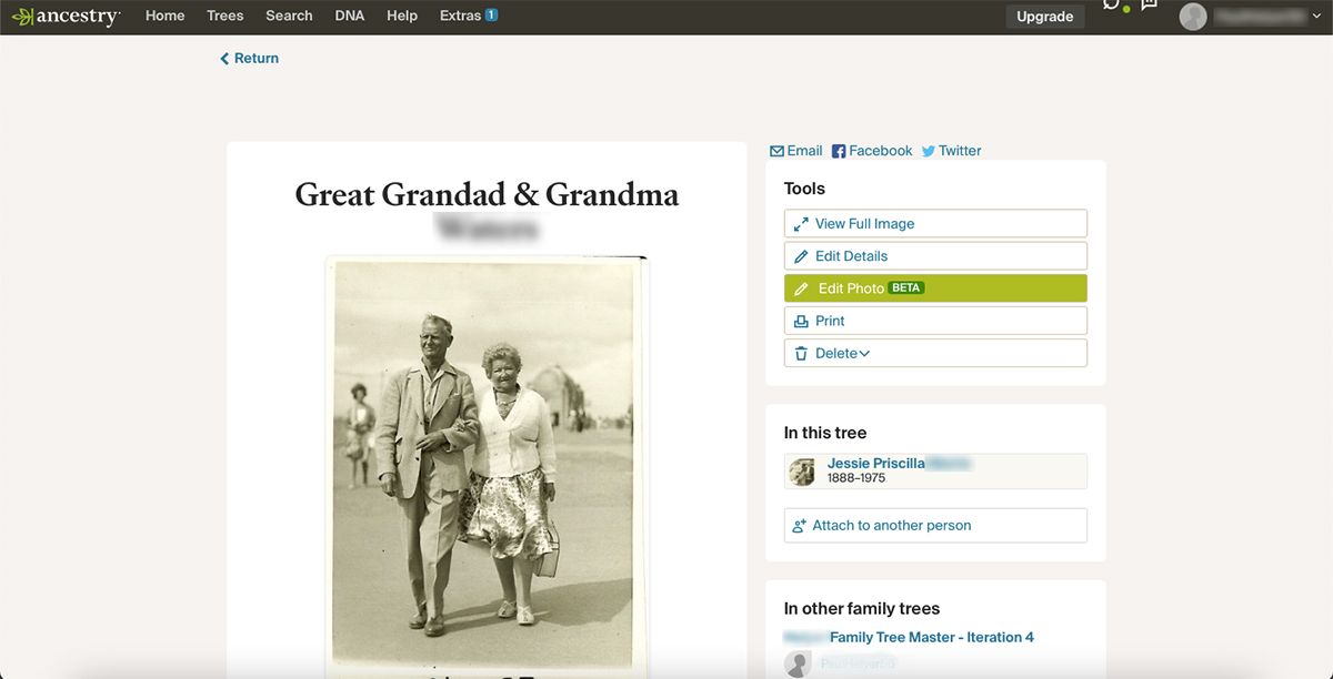 Ancestry website showing black and white photo of a couple walking.