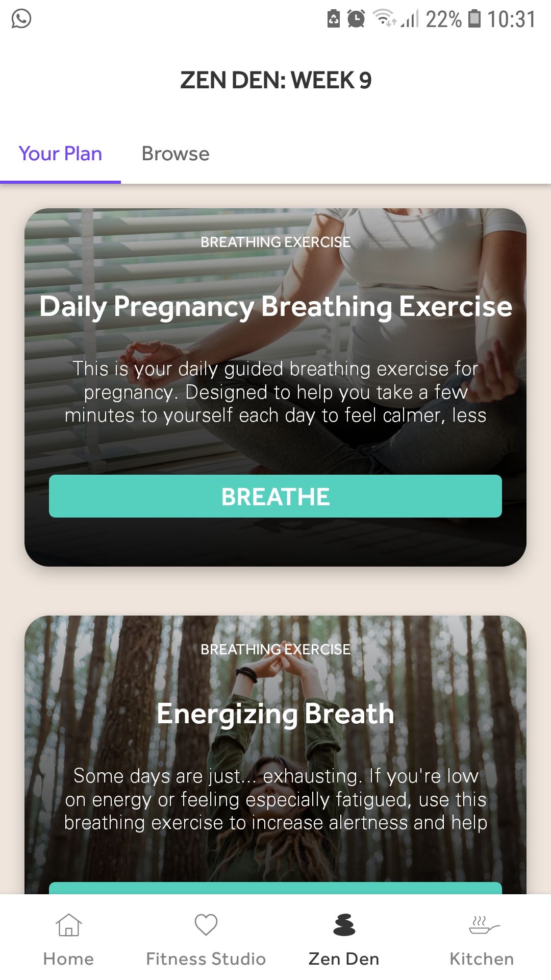 Baby2Body mobile prenatal exercise app zen den