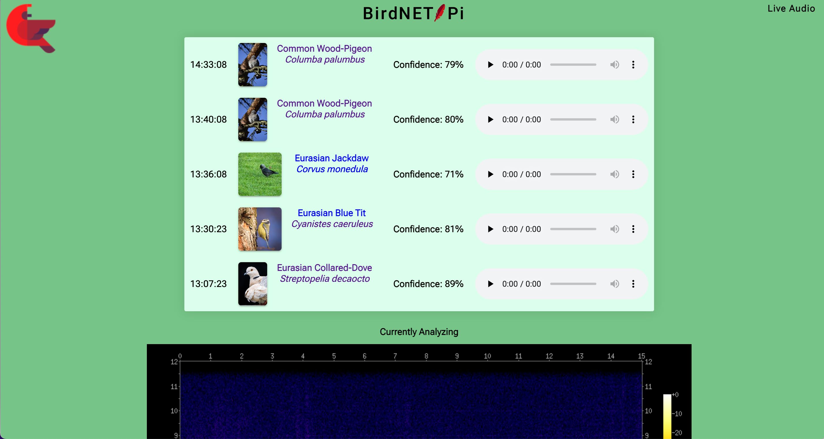 The web interface of BirdNET-Pi