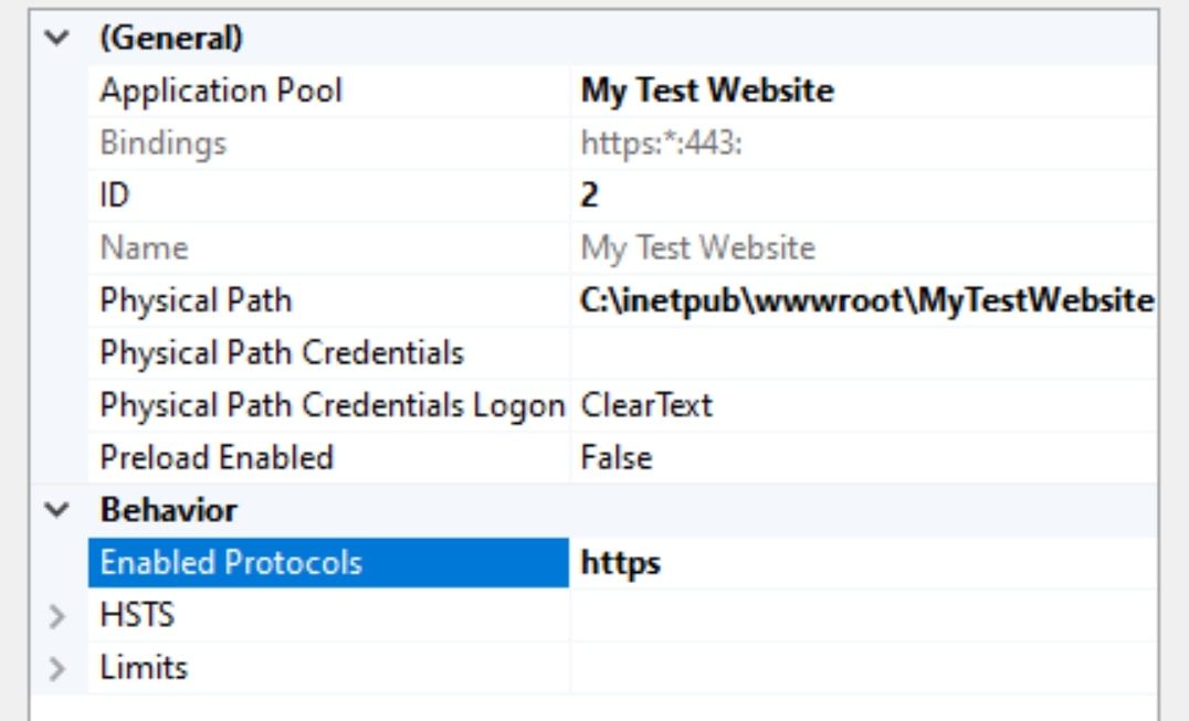Enable Protocols set to https