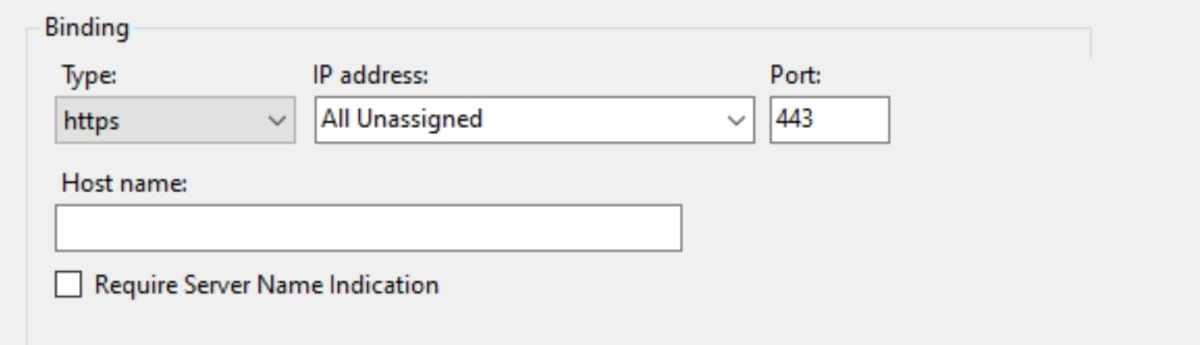 Type and Port in IIS Settings