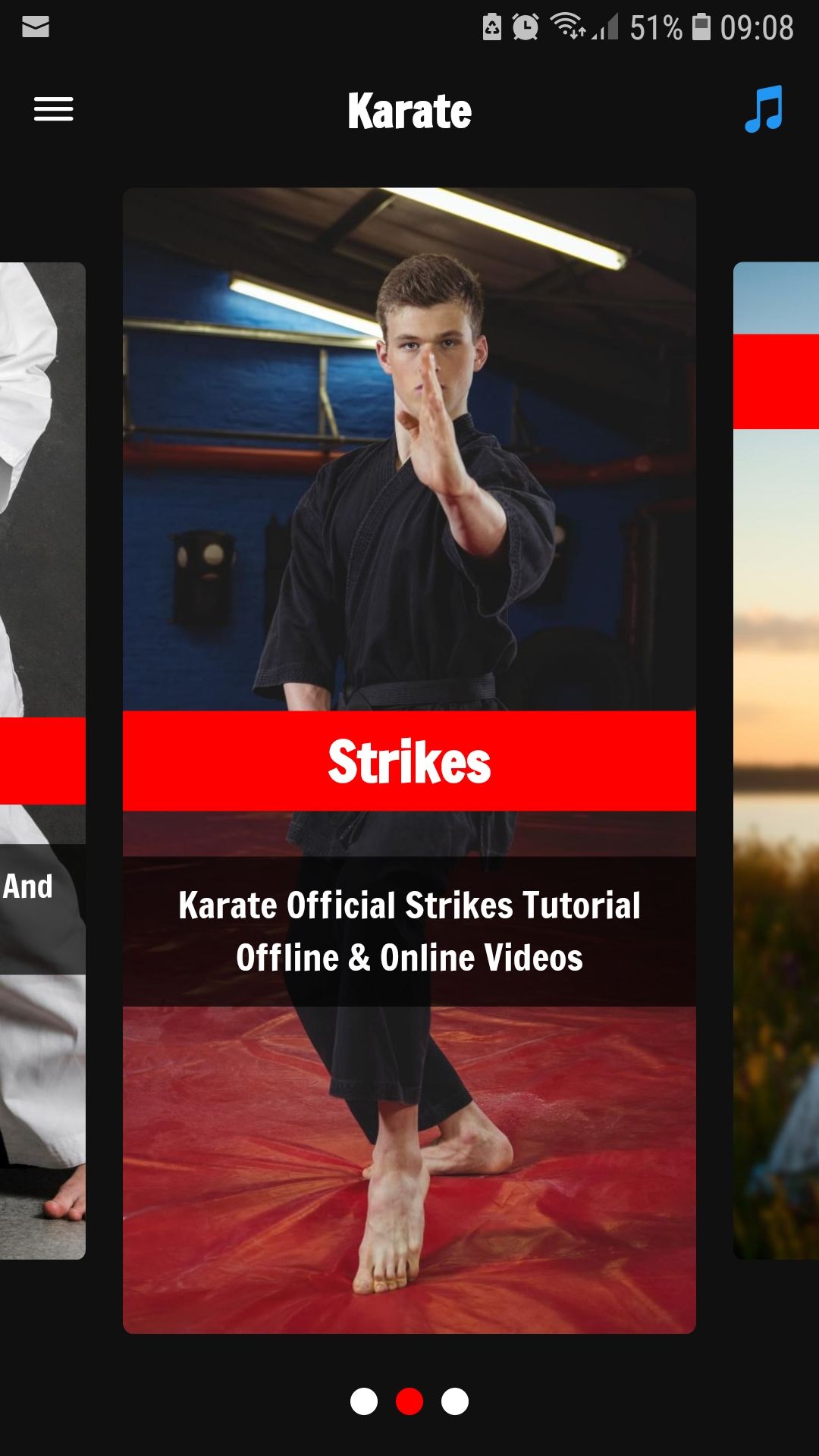 Karate Training home mobile app strikes