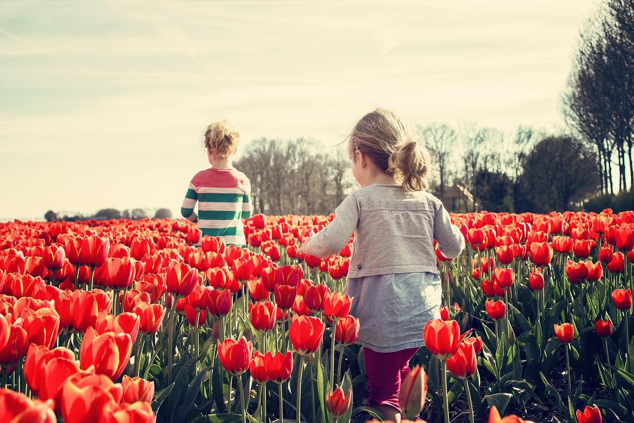 kids tulip garden