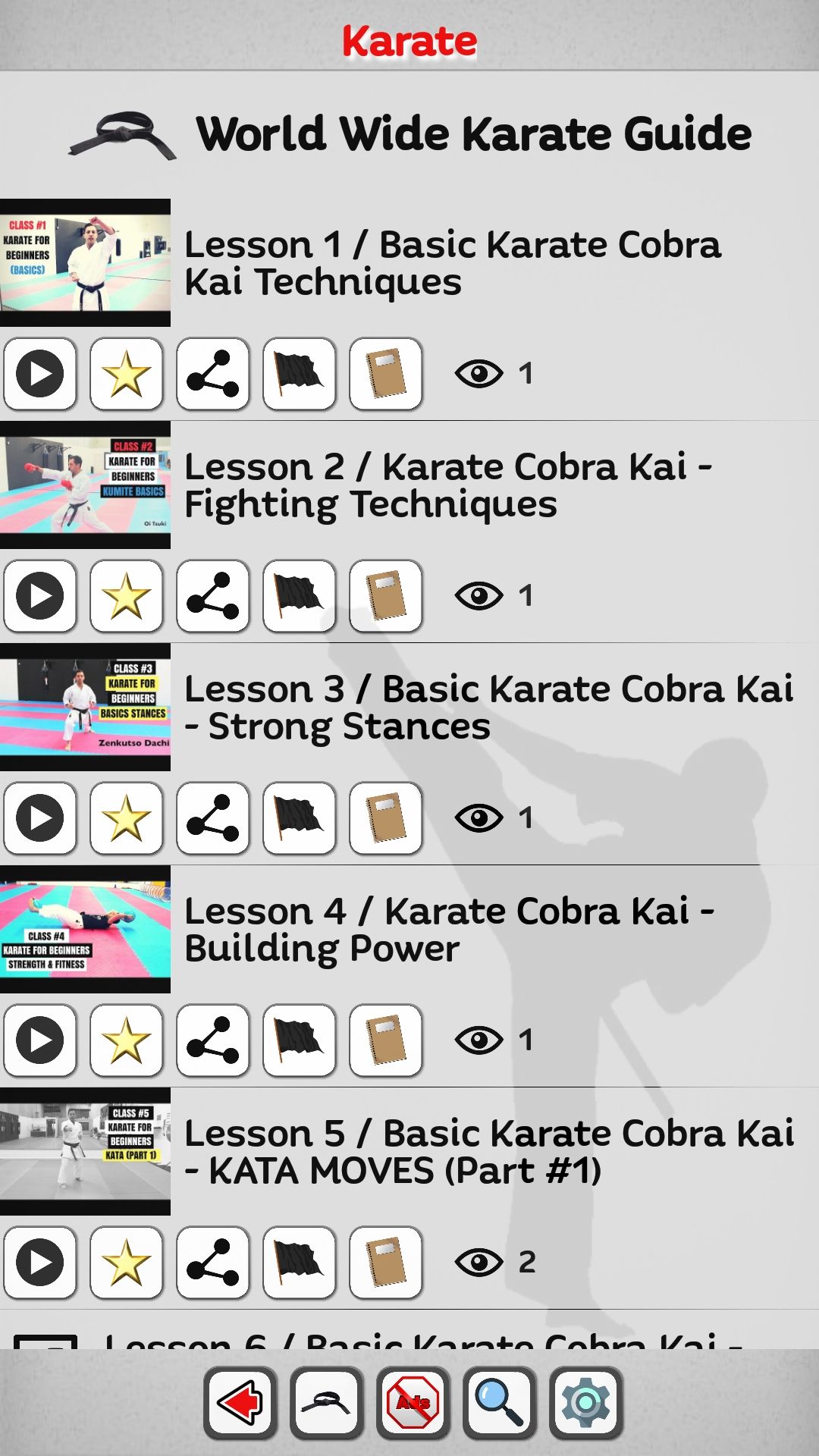 Martial Arts training karate guide mobile app