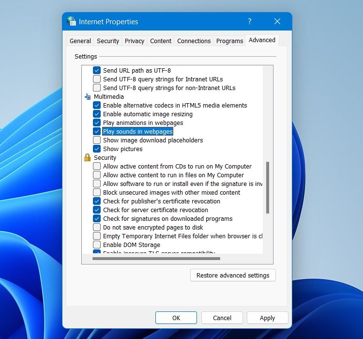 Internet Properties Play sound in webpages option