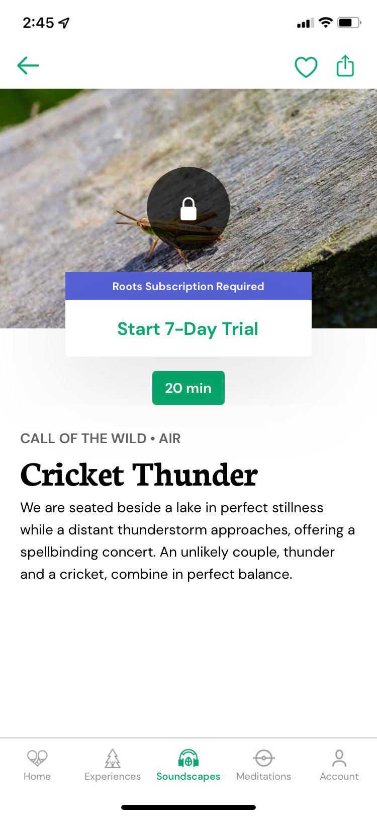 Roots App Soundscape Cricket Thunder