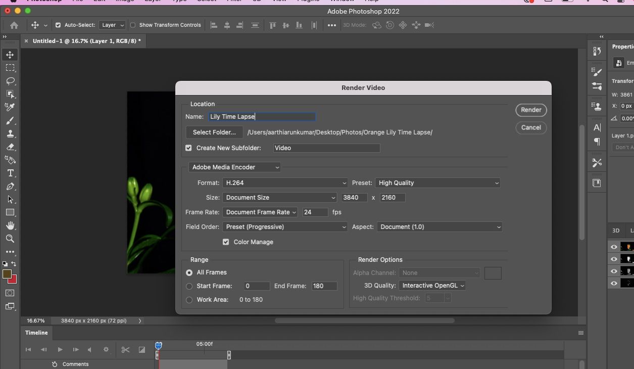 How to Make a Blooming Flower Time-Lapse: A Beginner's Guide