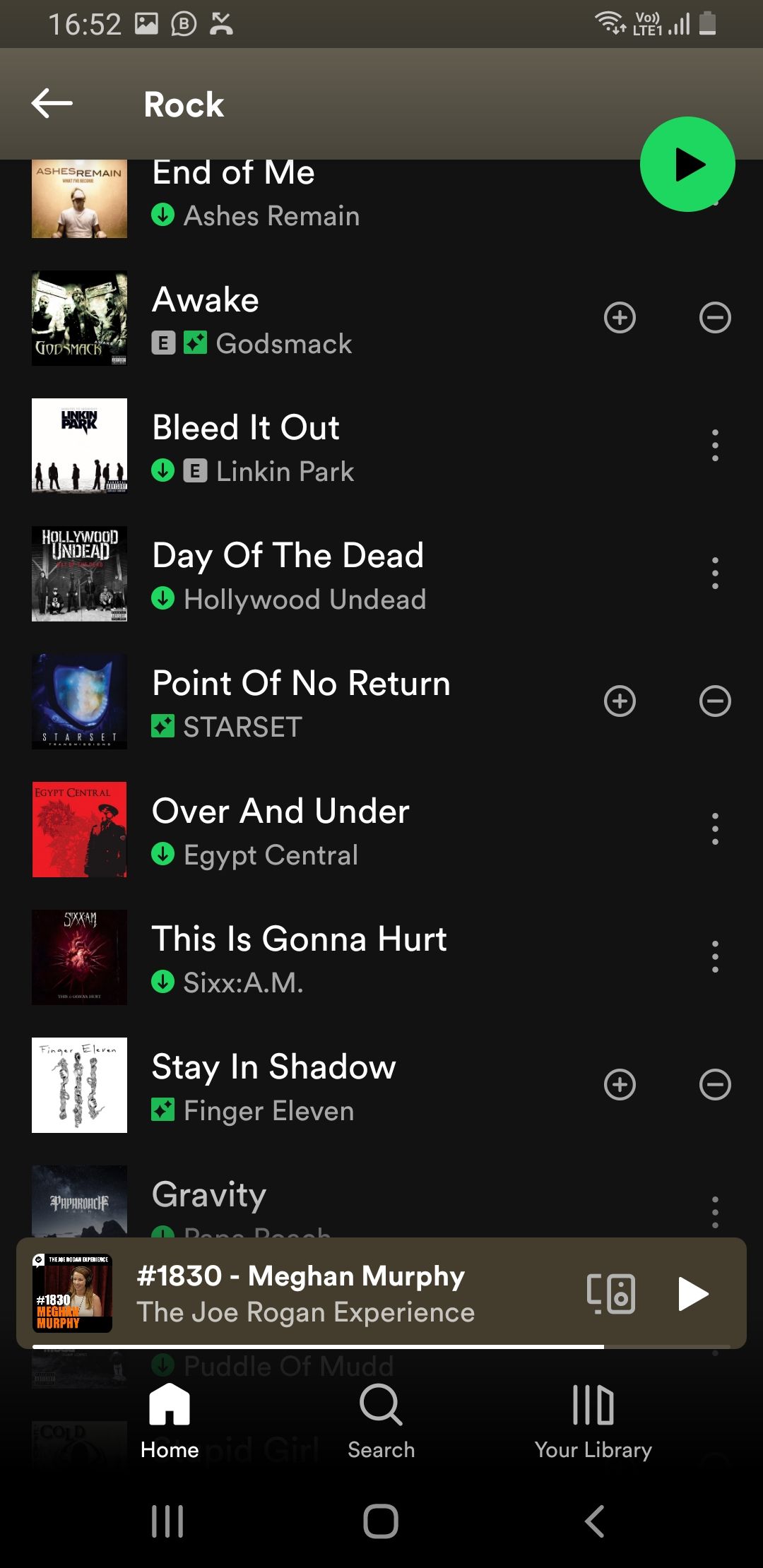 Spotify playlist screenshot
