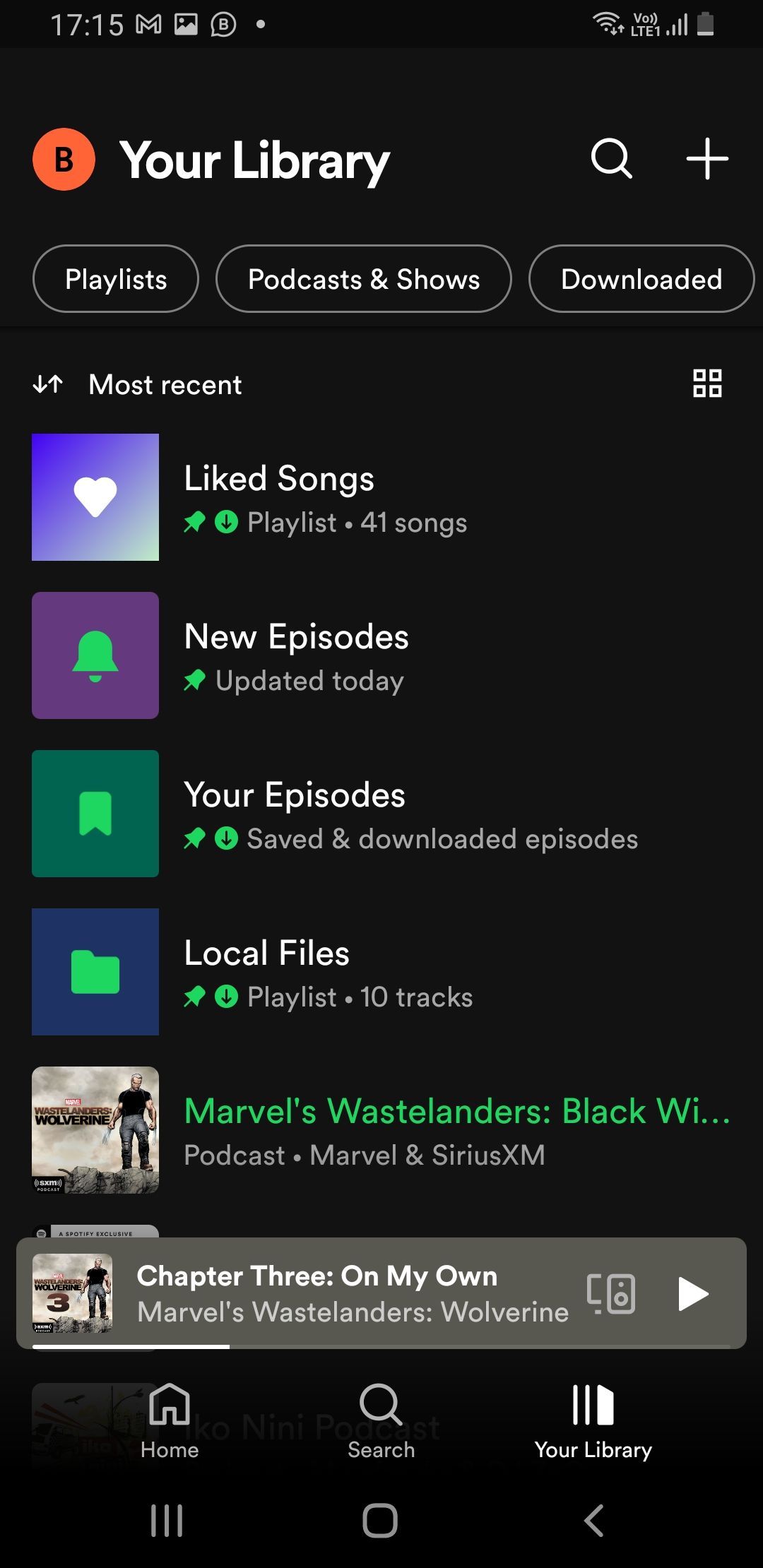 Spotify music library screenshot