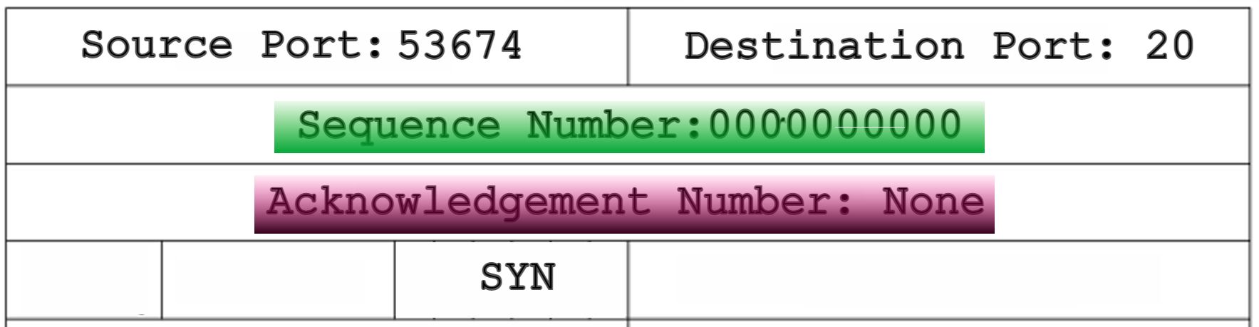 TCP SYN Segment