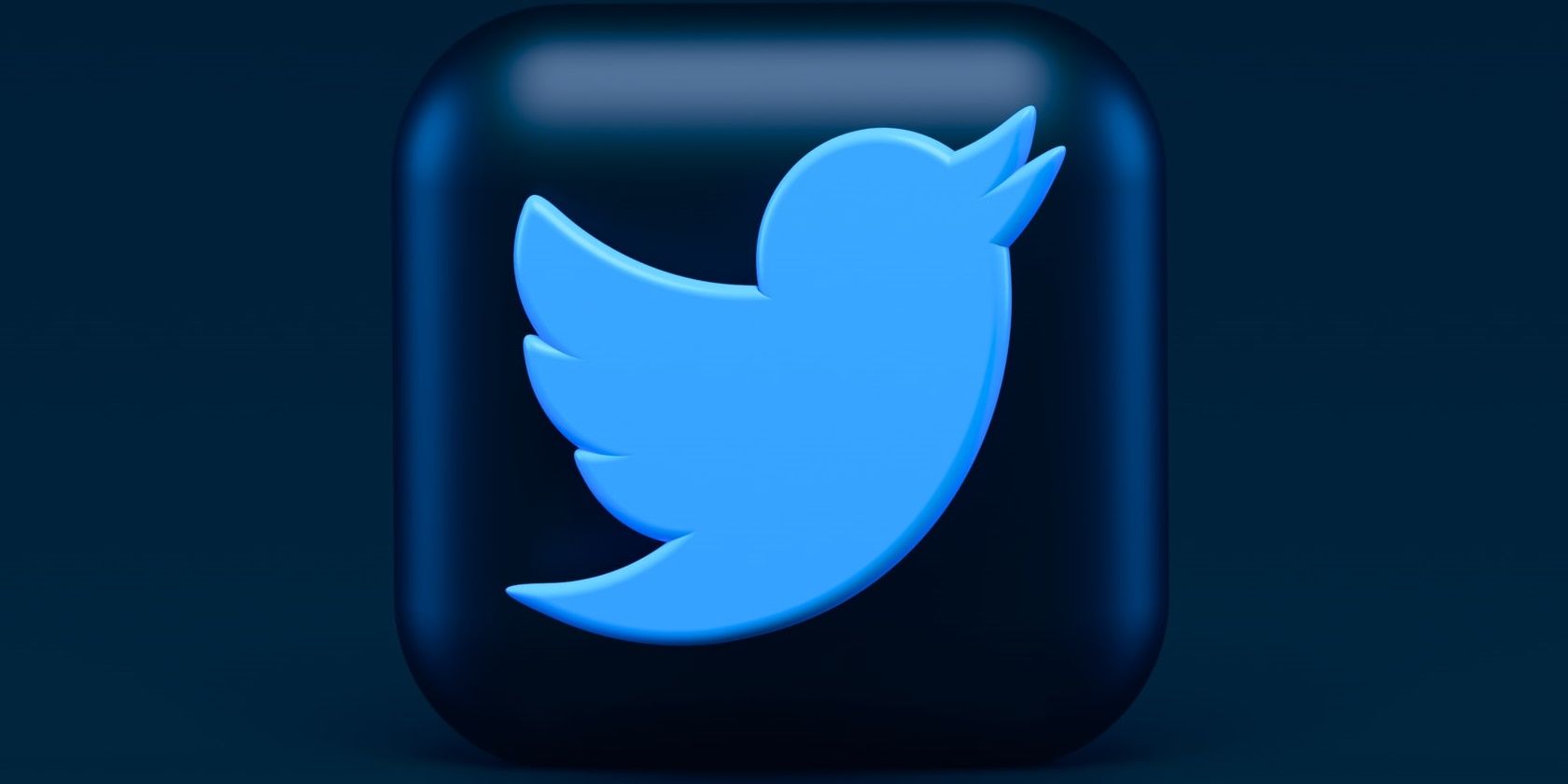 Blue Twitter blue bird logo on dark blue background