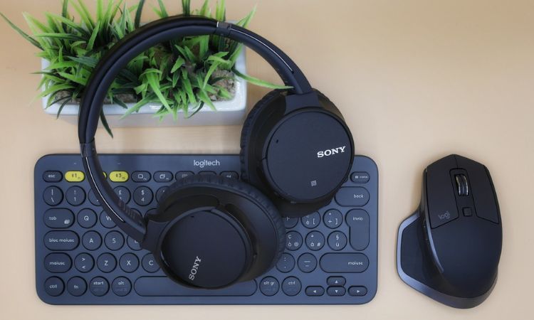 black bluetooth wireless devices, including a keyboard, headphones, and a mouse, in front of a green plant