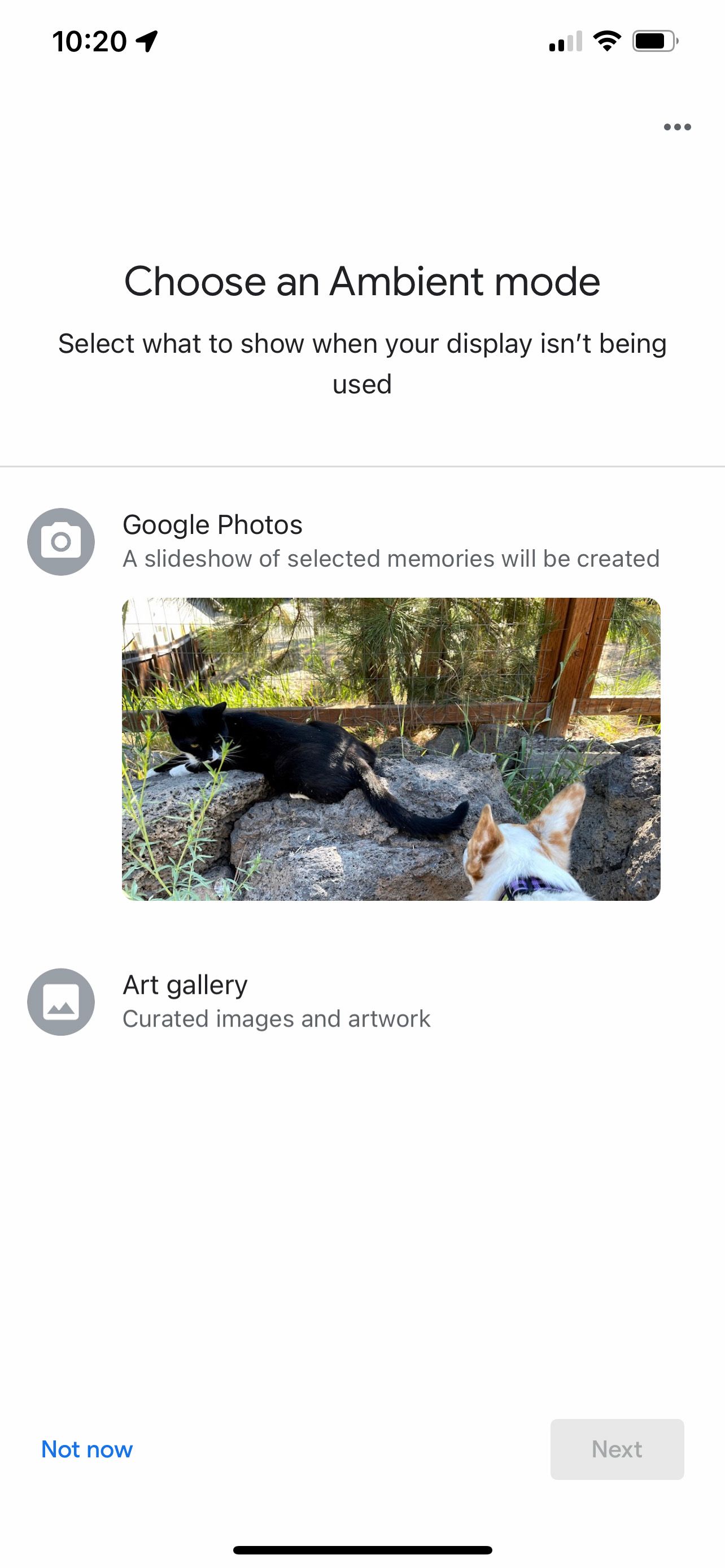 Choose to set up Google photos or Art Gallery in Ambient Mode for Chromecast